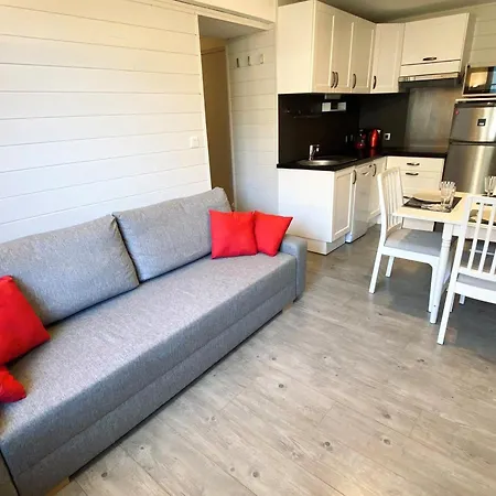 3 Pieces Avec Terrasse, Proche Des Pistes Pour 6 Personnes - Fr-1-516-167 Les Deux Alpes